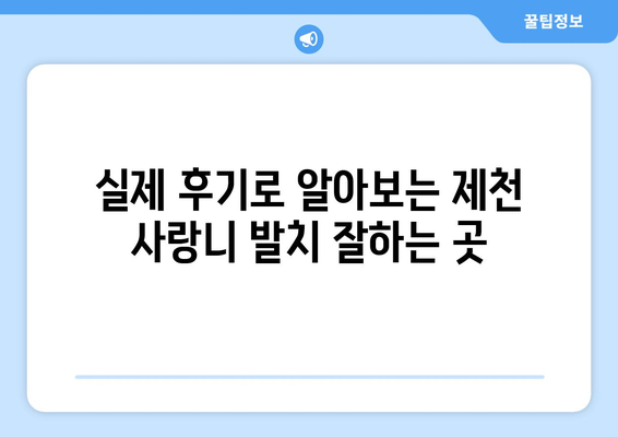 충청북도 제천시 영천동 사랑니 치과 매복 발치 잘하는 곳 비용 | 후기 | 추천