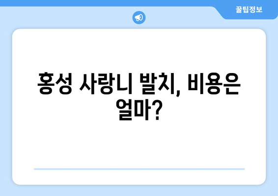 충청남도 홍성군 홍성읍 사랑니 치과 매복 발치 잘하는 곳 비용 | 후기 | 추천