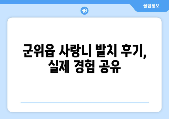 대구시 군위군 군위읍 사랑니 치과 매복 발치 잘하는 곳 비용 | 후기 | 추천