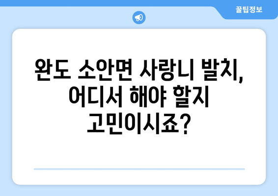 전라남도 완도군 소안면 사랑니 치과 매복 발치 잘하는 곳 비용 | 후기 | 추천