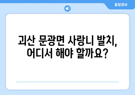 충청북도 괴산군 문광면 사랑니 치과 매복 발치 잘하는 곳 비용 | 후기 | 추천