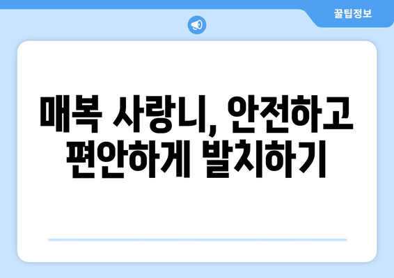 인천시 연수구 동춘1동 사랑니 치과 매복 발치 잘하는 곳 비용 | 후기 | 추천