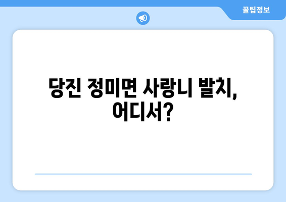 충청남도 당진시 정미면 사랑니 치과 매복 발치 잘하는 곳 비용 | 후기 | 추천