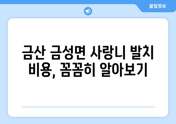 충청남도 금산군 금성면 사랑니 치과 매복 발치 잘하는 곳 비용 | 후기 | 추천