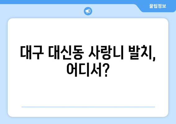 대구시 중구 대신동 사랑니 치과 매복 발치 잘하는 곳 비용 | 후기 | 추천