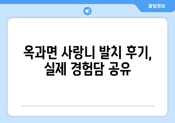 전라남도 곡성군 옥과면 사랑니 치과 매복 발치 잘하는 곳 비용 | 후기 | 추천