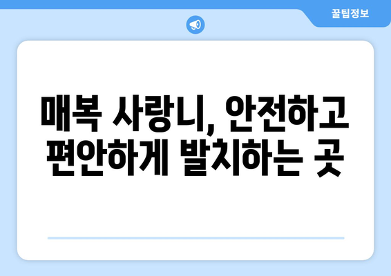 강원도 원주시 중앙동 사랑니 치과 매복 발치 잘하는 곳 비용 | 후기 | 추천