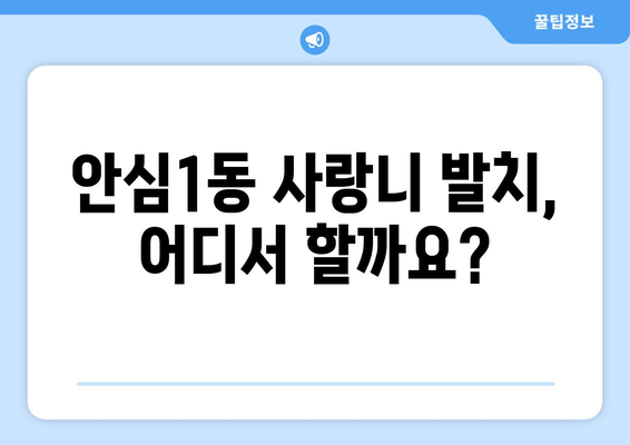 대구시 동구 안심1동 사랑니 치과 매복 발치 잘하는 곳 비용 | 후기 | 추천