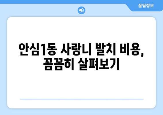 대구시 동구 안심1동 사랑니 치과 매복 발치 잘하는 곳 비용 | 후기 | 추천