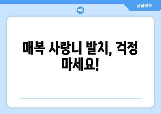 서울시 동대문구 제기동 사랑니 치과 매복 발치 잘하는 곳 비용 | 후기 | 추천