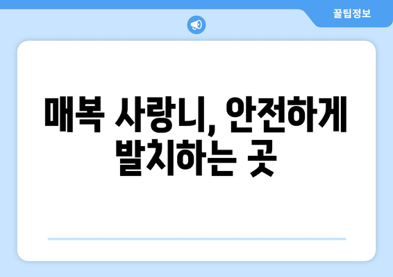 제주도 제주시 화북동 사랑니 치과 매복 발치 잘하는 곳 비용 | 후기 | 추천