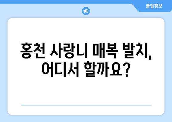 강원도 홍천군 홍천읍 사랑니 치과 매복 발치 잘하는 곳 비용 | 후기 | 추천