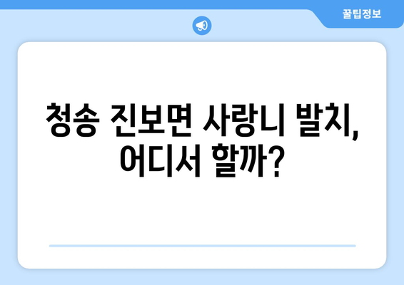 경상북도 청송군 진보면 사랑니 치과 매복 발치 잘하는 곳 비용 | 후기 | 추천
