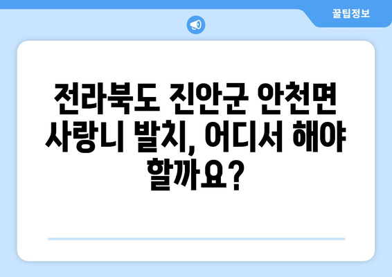 전라북도 진안군 안천면 사랑니 치과 매복 발치 잘하는 곳 비용 | 후기 | 추천