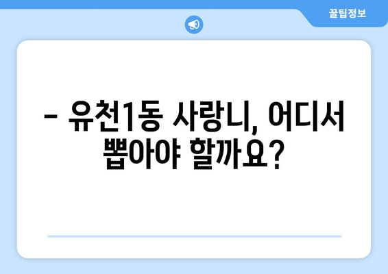 대전시 중구 유천1동 사랑니 치과 매복 발치 잘하는 곳 비용 | 후기 | 추천