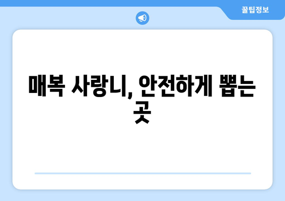 제주도 제주시 오라동 사랑니 치과 매복 발치 잘하는 곳 비용 | 후기 | 추천