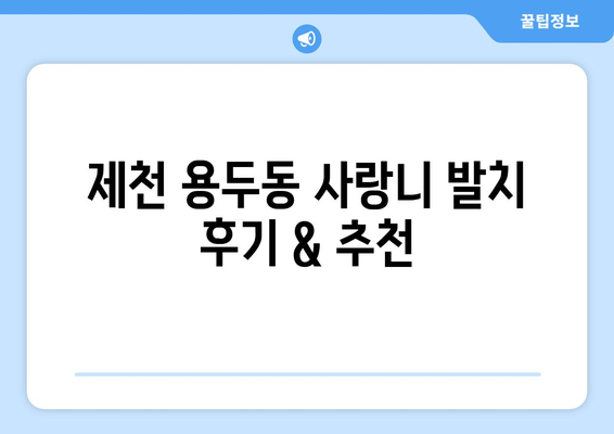 충청북도 제천시 용두동 사랑니 치과 매복 발치 잘하는 곳 비용 | 후기 | 추천
