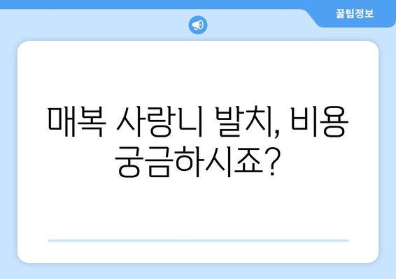 충청남도 예산군 응봉면 사랑니 치과 매복 발치 잘하는 곳 비용 | 후기 | 추천