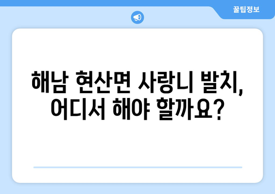 전라남도 해남군 현산면 사랑니 치과 매복 발치 잘하는 곳 비용 | 후기 | 추천