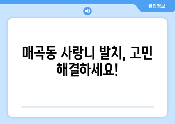 광주시 북구 매곡동 사랑니 치과 매복 발치 잘하는 곳 비용 | 후기 | 추천