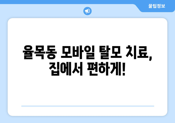 인천시 중구 율목동 모바일식 탈모치료 잘하는곳 두피관리 추천 베스트 헤어라인 정수리 비용 후기