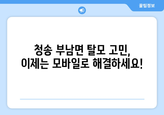 경상북도 청송군 부남면 모바일식 탈모치료 잘하는곳 두피관리 추천 베스트 헤어라인 정수리 비용 후기