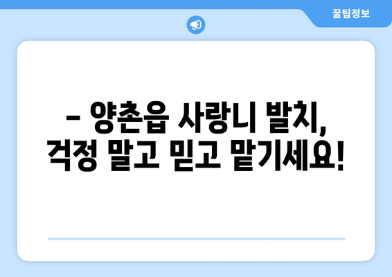 경기도 김포시 양촌읍 사랑니 치과 매복 발치 잘하는 곳 비용 | 후기 | 추천