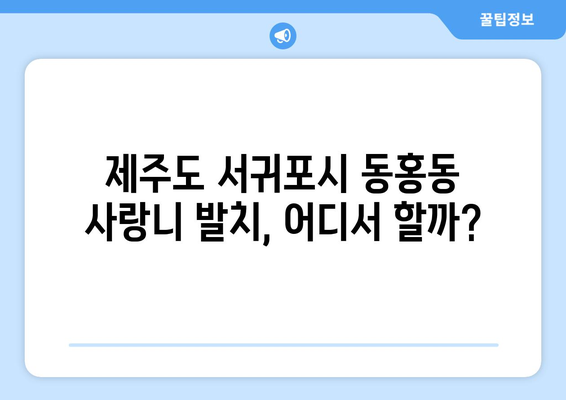 제주도 서귀포시 동홍동 사랑니 치과 매복 발치 잘하는 곳 비용 | 후기 | 추천