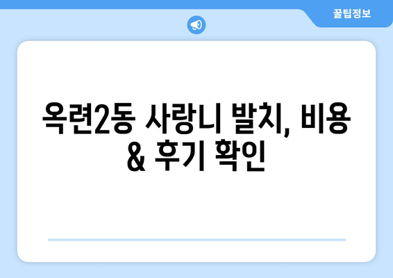인천시 연수구 옥련2동 사랑니 치과 매복 발치 잘하는 곳 비용 | 후기 | 추천