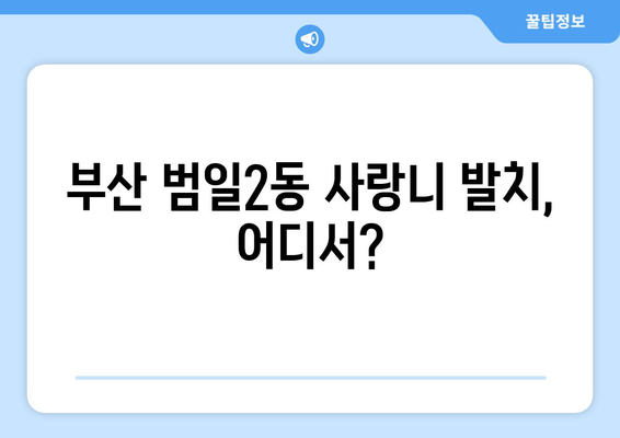 부산시 동구 범일2동 사랑니 치과 매복 발치 잘하는 곳 비용 | 후기 | 추천