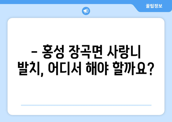 충청남도 홍성군 장곡면 사랑니 치과 매복 발치 잘하는 곳 비용 | 후기 | 추천