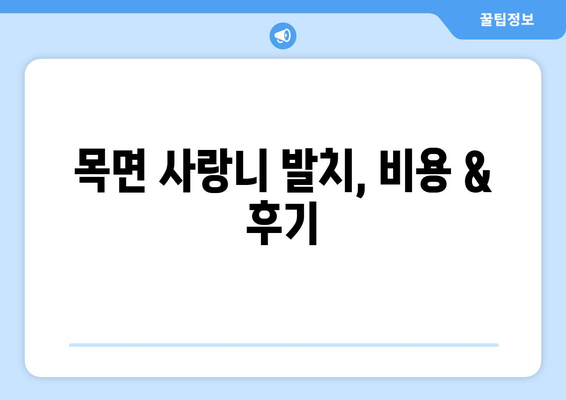 충청남도 청양군 목면 사랑니 치과 매복 발치 잘하는 곳 비용 | 후기 | 추천