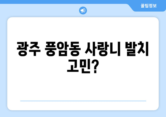 광주시 서구 풍암동 사랑니 치과 매복 발치 잘하는 곳 비용 | 후기 | 추천