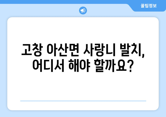 전라북도 고창군 아산면 사랑니 치과 매복 발치 잘하는 곳 비용 | 후기 | 추천