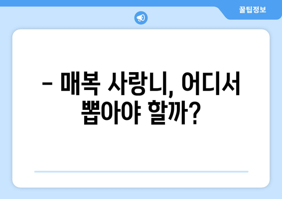 강원도 원주시 지정면 사랑니 치과 매복 발치 잘하는 곳 비용 | 후기 | 추천