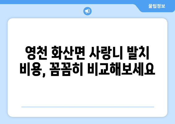 경상북도 영천시 화산면 사랑니 치과 매복 발치 잘하는 곳 비용 | 후기 | 추천