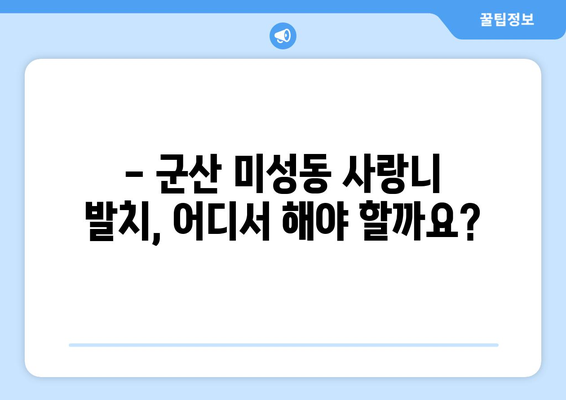 전라북도 군산시 미성동 사랑니 치과 매복 발치 잘하는 곳 비용 | 후기 | 추천