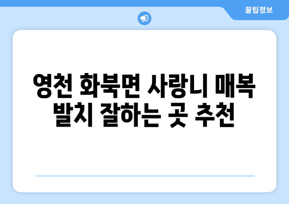 경상북도 영천시 화북면 사랑니 치과 매복 발치 잘하는 곳 비용 | 후기 | 추천