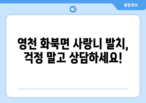 경상북도 영천시 화북면 사랑니 치과 매복 발치 잘하는 곳 비용 | 후기 | 추천