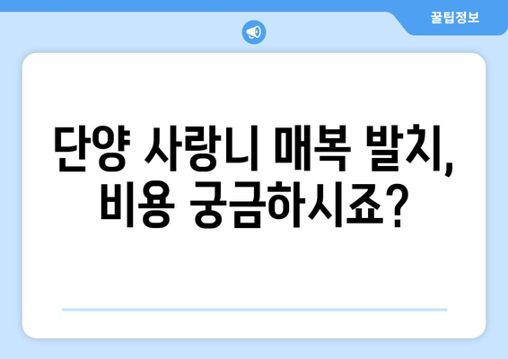 충청북도 단양군 어상천면 사랑니 치과 매복 발치 잘하는 곳 비용 | 후기 | 추천
