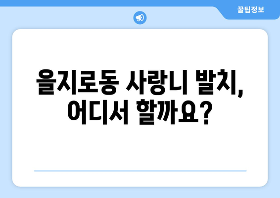 서울시 중구 을지로동 사랑니 치과 매복 발치 잘하는 곳 비용 | 후기 | 추천