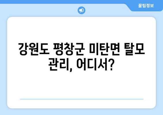 강원도 평창군 미탄면 모바일식 탈모치료 잘하는곳 두피관리 추천 베스트 헤어라인 정수리 비용 후기
