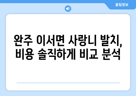 전라북도 완주군 이서면 사랑니 치과 매복 발치 잘하는 곳 비용 | 후기 | 추천