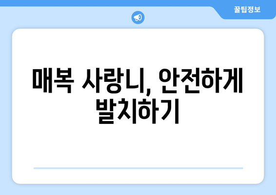충청남도 금산군 금성면 사랑니 치과 매복 발치 잘하는 곳 비용 | 후기 | 추천