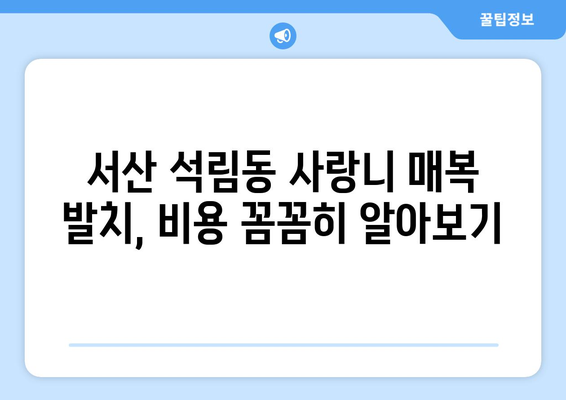 충청남도 서산시 석림동 사랑니 치과 매복 발치 잘하는 곳 비용 | 후기 | 추천