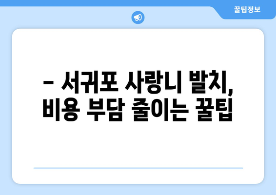 제주도 서귀포시 송산동 사랑니 치과 매복 발치 잘하는 곳 비용 | 후기 | 추천