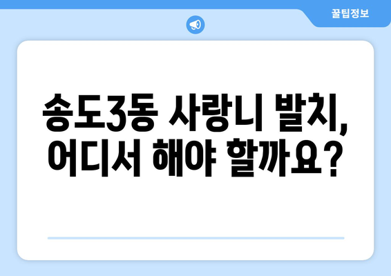 인천시 연수구 송도3동 사랑니 치과 매복 발치 잘하는 곳 비용 | 후기 | 추천