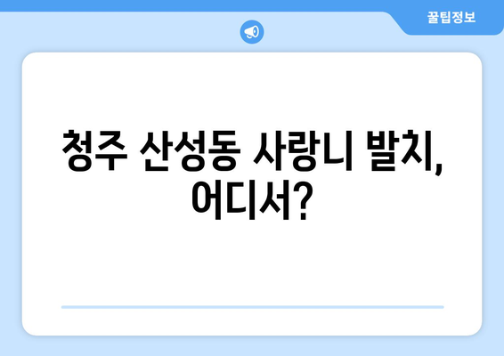 충청북도 청주시 상당구 산성동 사랑니 치과 매복 발치 잘하는 곳 비용 | 후기 | 추천