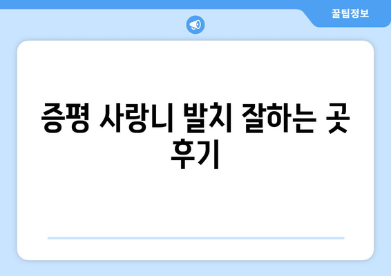 충청북도 증평군 증평읍 사랑니 치과 매복 발치 잘하는 곳 비용 | 후기 | 추천