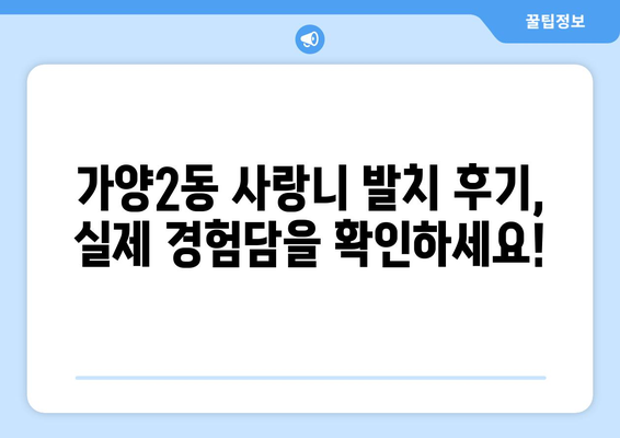 대전시 동구 가양2동 사랑니 치과 매복 발치 잘하는 곳 비용 | 후기 | 추천